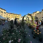 Apartment Al Civico 80 *